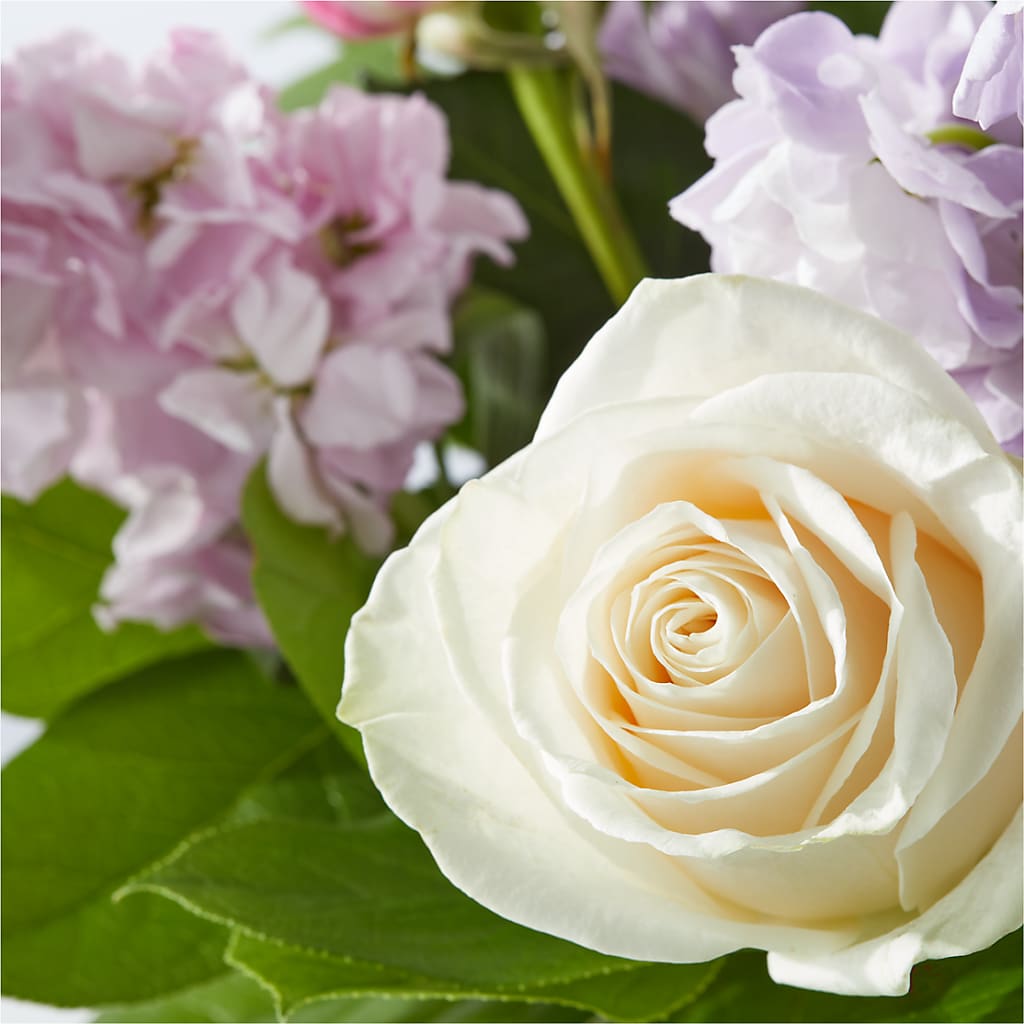 Springtime Spritz Bouquet –  Forget-me-not Florist, Fort Recovery OH