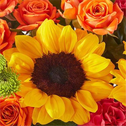 Sun-drenched Blooms Box Bouquet –  Forget-me-not Florist, Fort Recovery OH