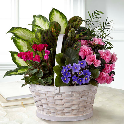 Peaceful Garden Planter –  Forget-me-not Florist, Fort Recovery OH