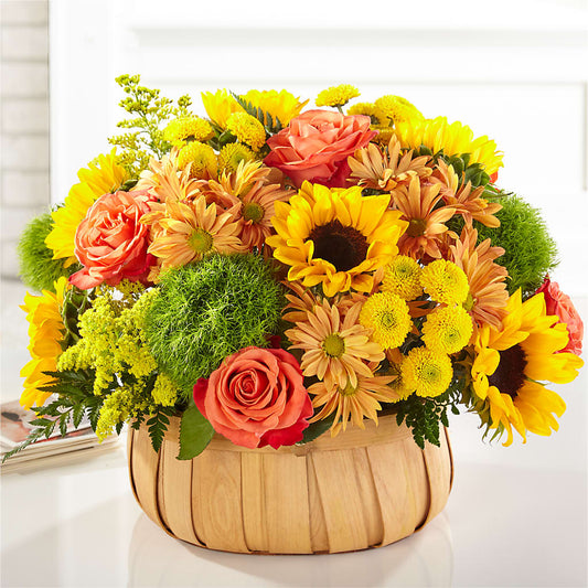Harvest Sunflower Basket –  Forget-me-not Florist, Fort Recovery OH