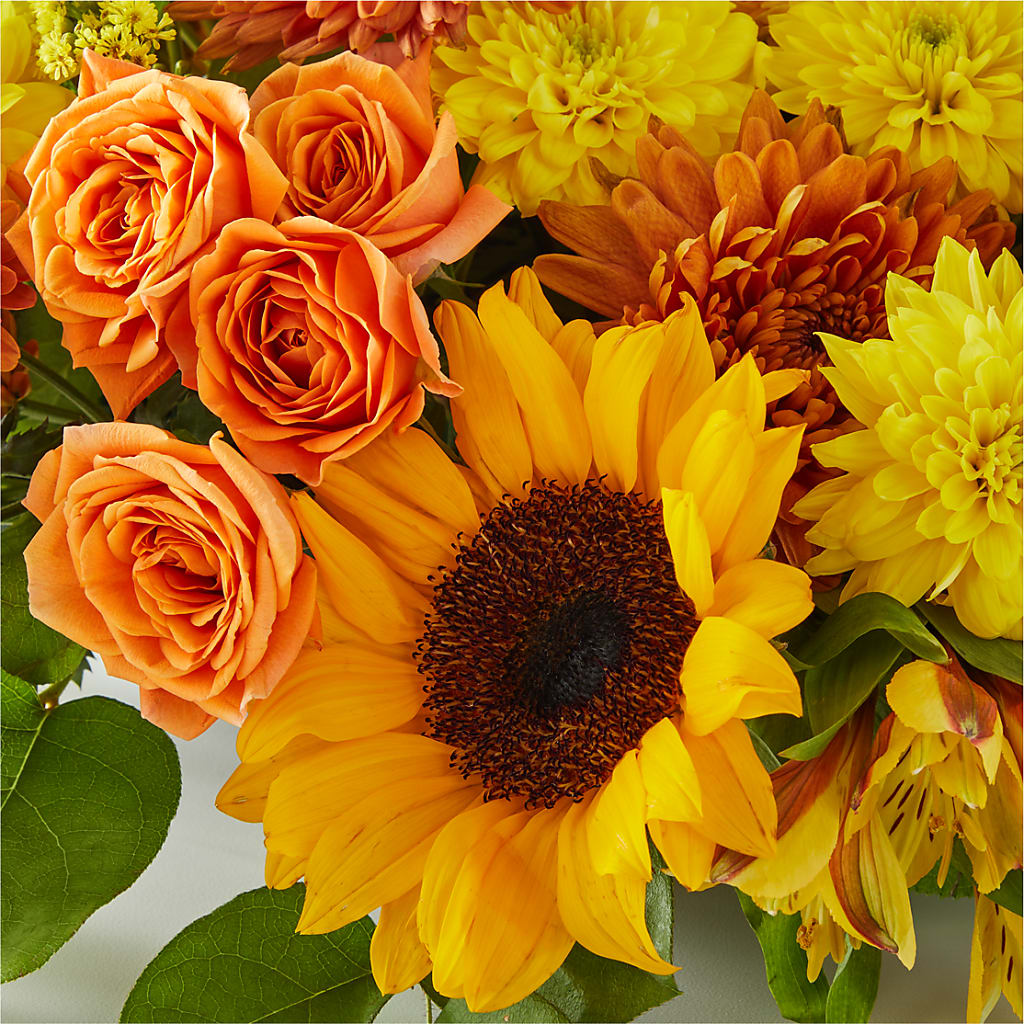 Autumn Harmony Centerpiece –  Forget-me-not Florist, Fort Recovery OH