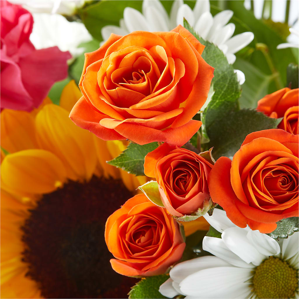 Sun-drenched Blooms Bouquet –  Forget-me-not Florist, Fort Recovery OH
