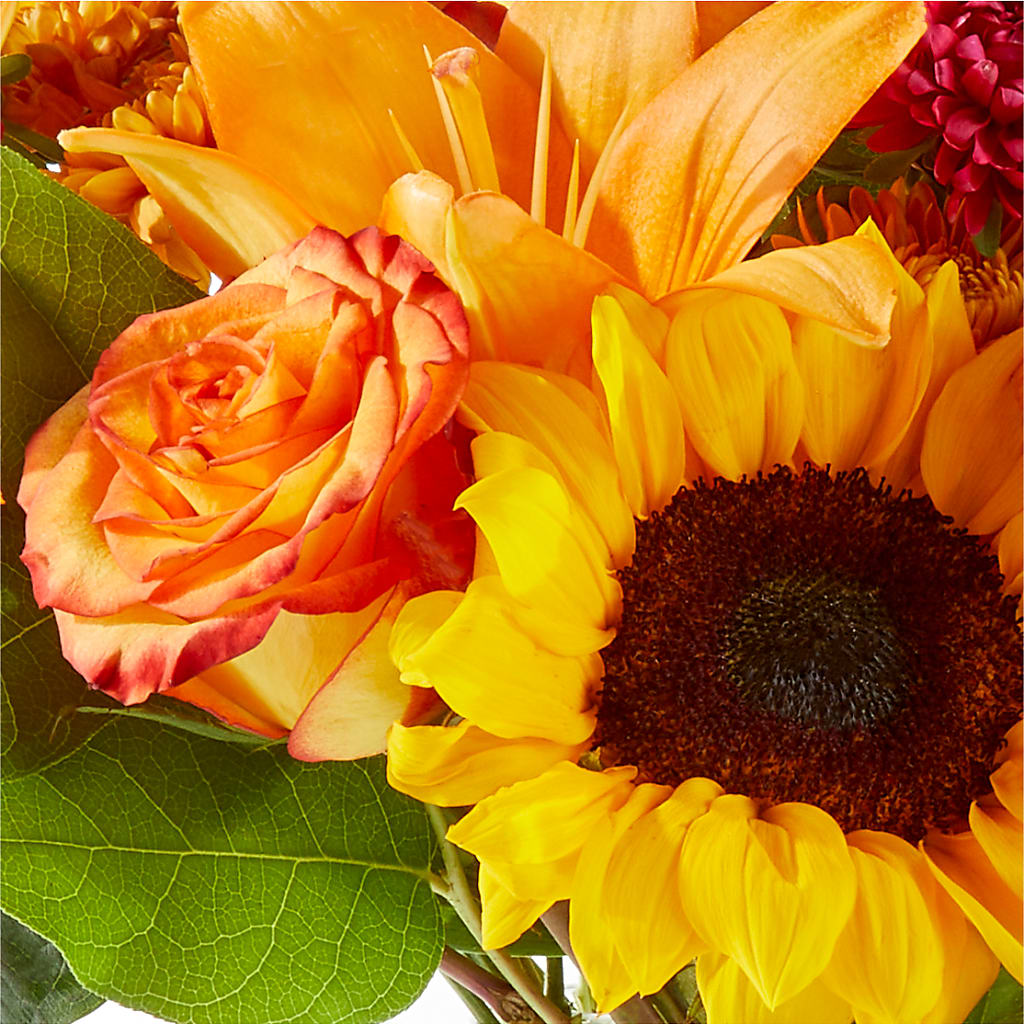Fall Day Bouquet –  Forget-me-not Florist, Fort Recovery OH