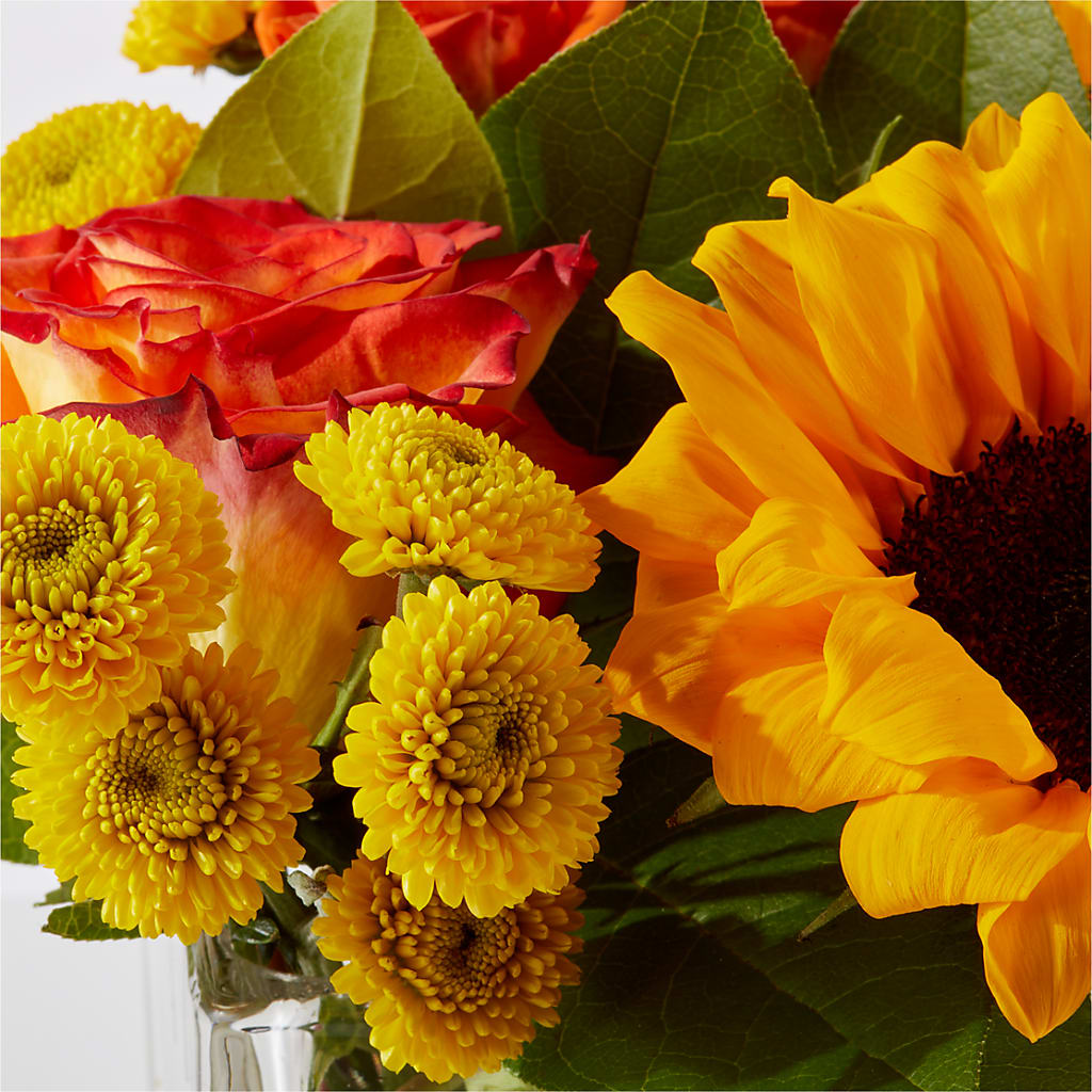 Picnic in the Park Bouquet –  Forget-me-not Florist, Fort Recovery OH