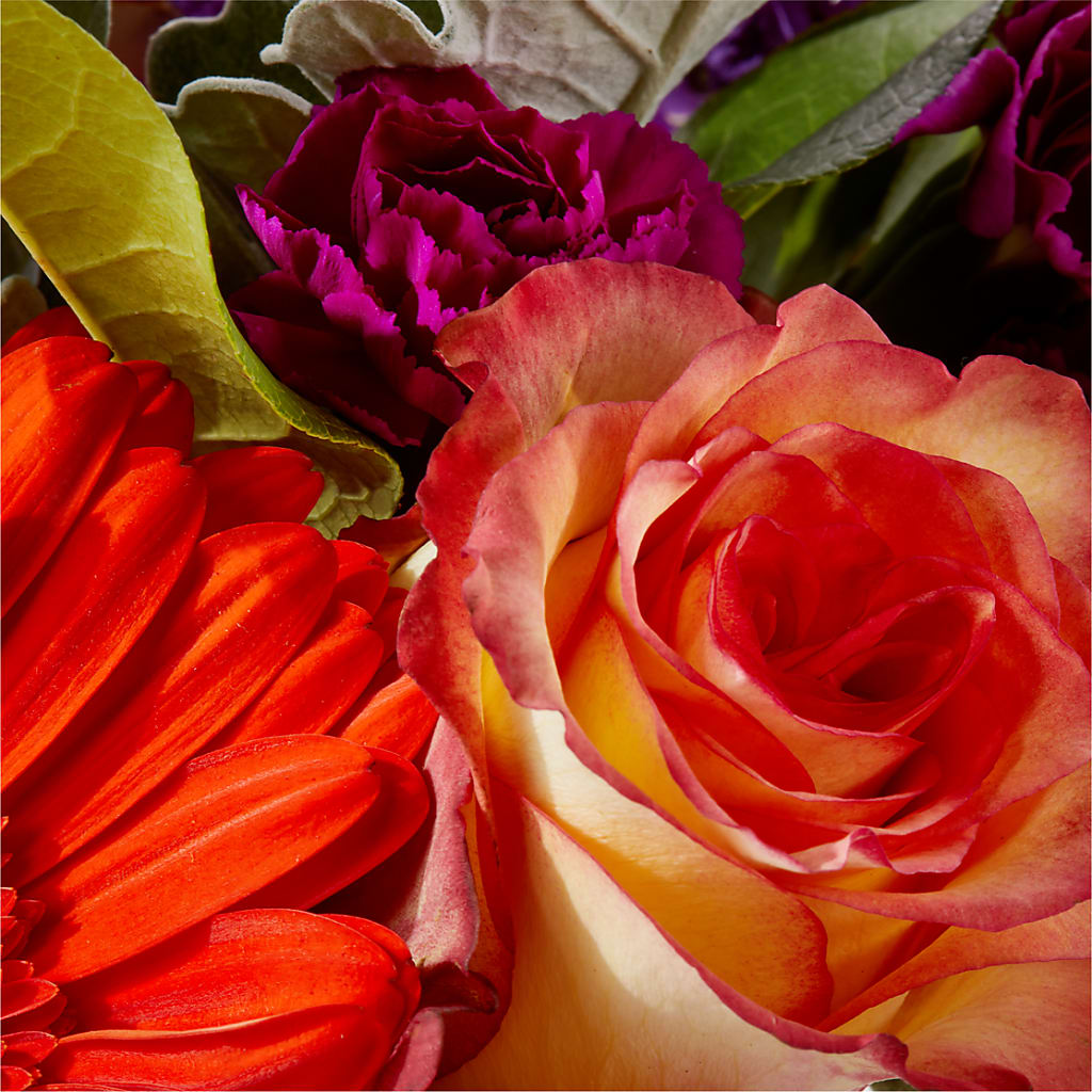 Sangria Bouquet –  Forget-me-not Florist, Fort Recovery OH