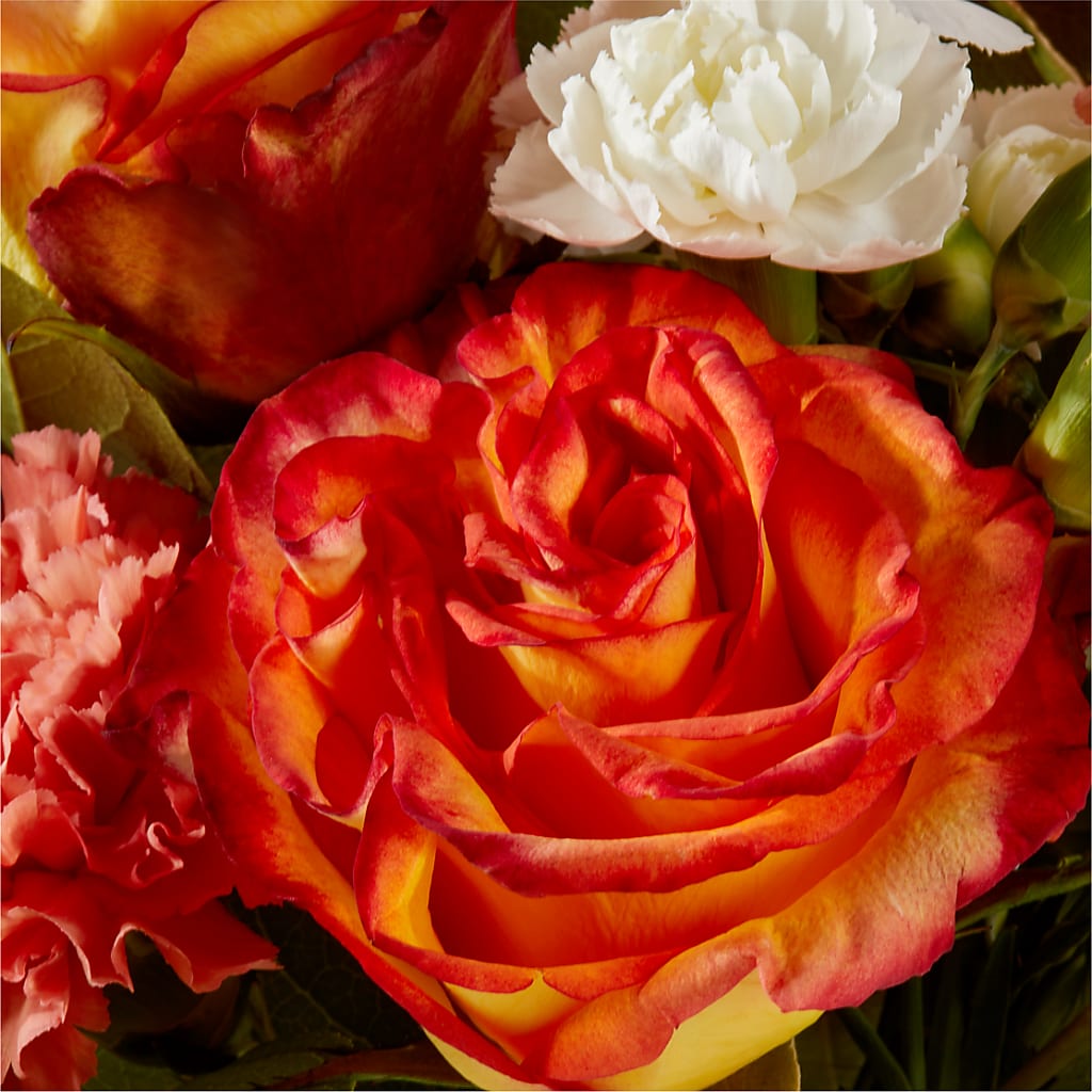 Apricot Glow Bouquet –  Forget-me-not Florist, Fort Recovery OH