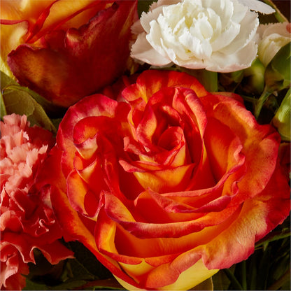 Apricot Glow Bouquet –  Forget-me-not Florist, Fort Recovery OH