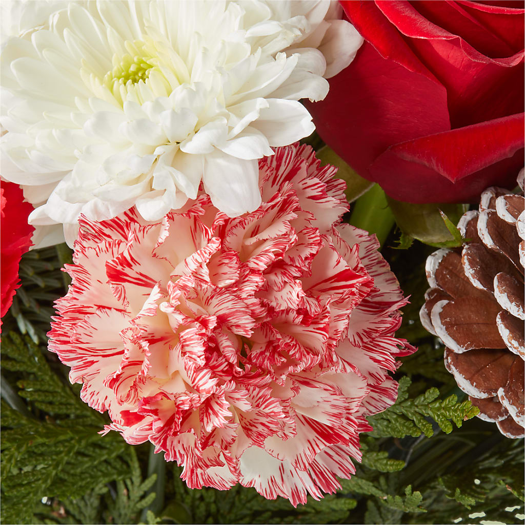 Candy Cane Lane Bouquet –  Forget-me-not Florist, Fort Recovery OH
