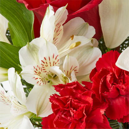 Holiday Season Bouquet –  Forget-me-not Florist, Fort Recovery OH