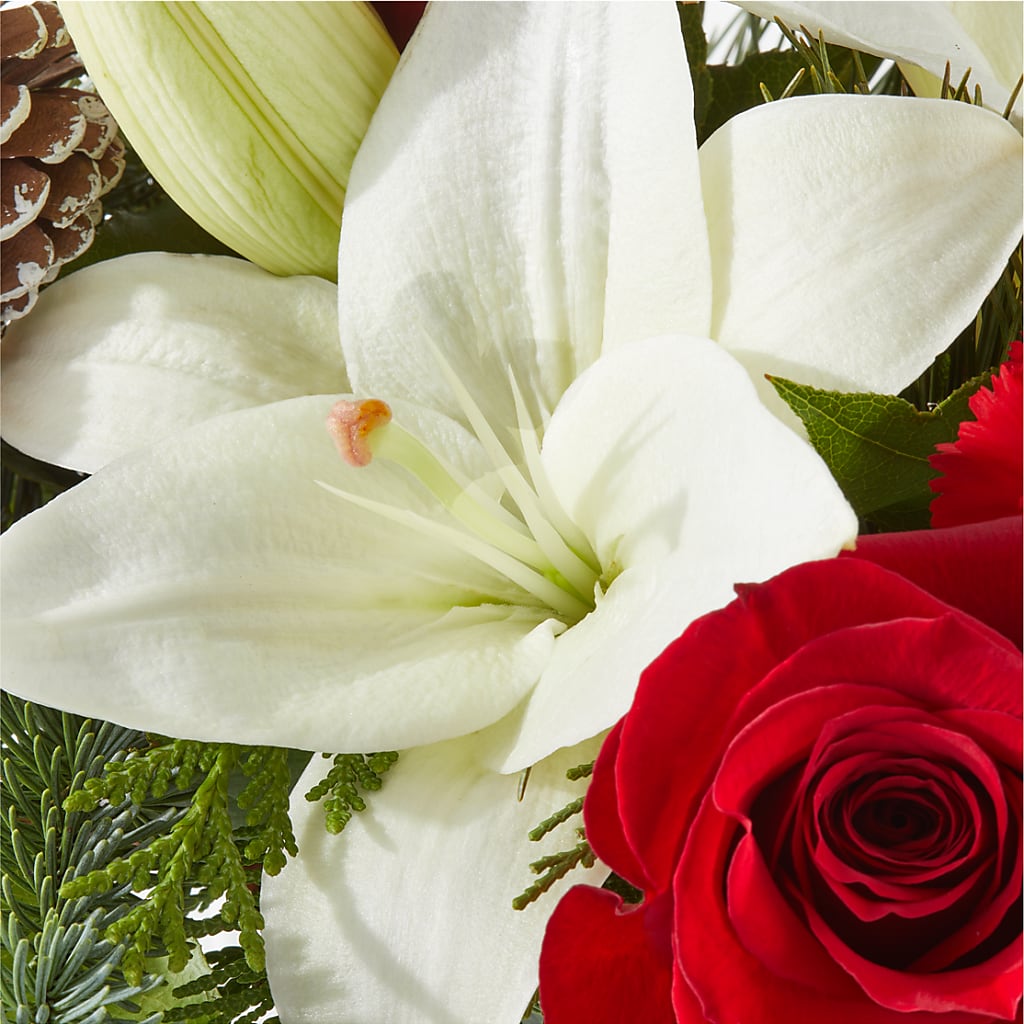 Oh So Jolly Bouquet –  Forget-me-not Florist, Fort Recovery OH