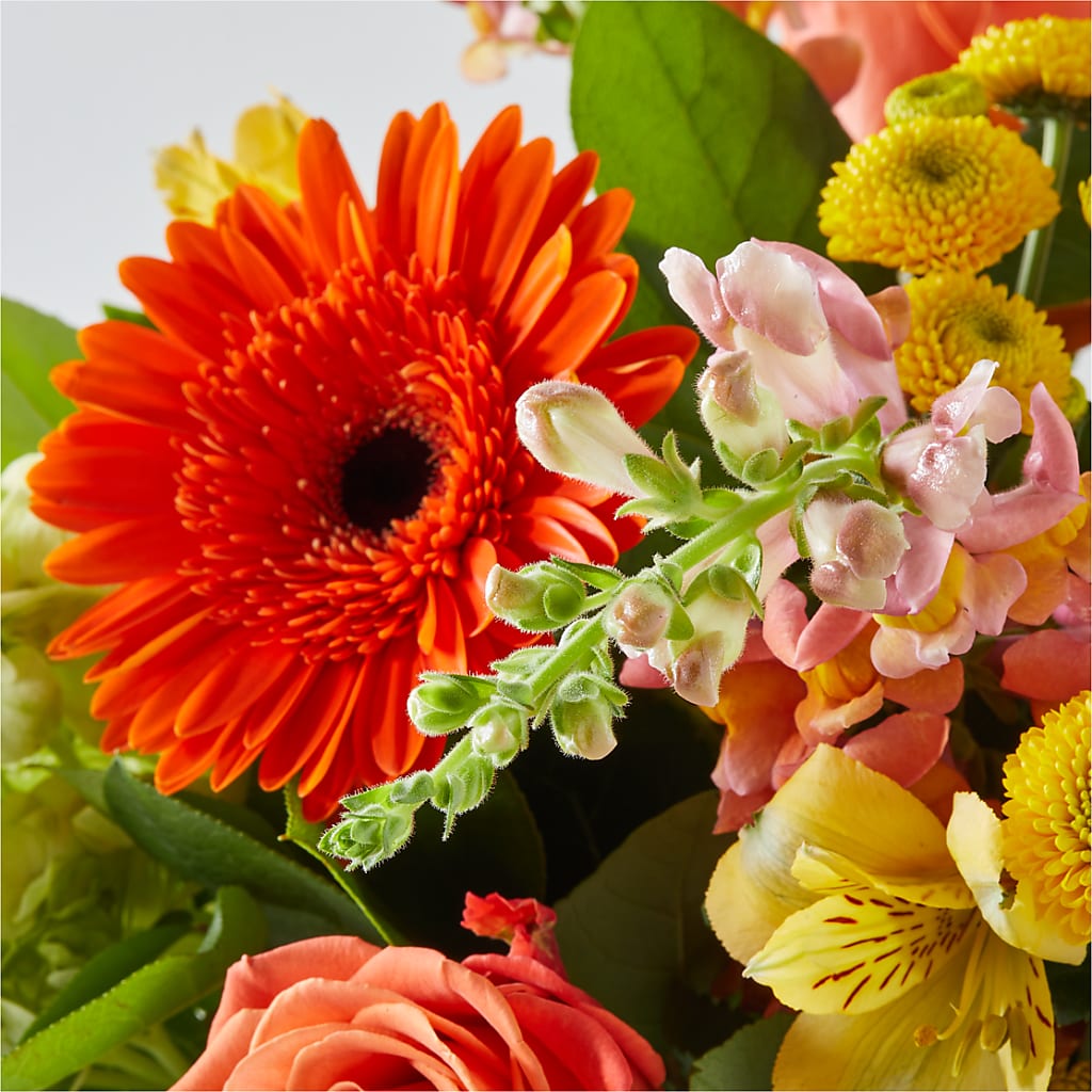 Autumn Sunshine Bouquet –  Forget-me-not Florist, Fort Recovery OH