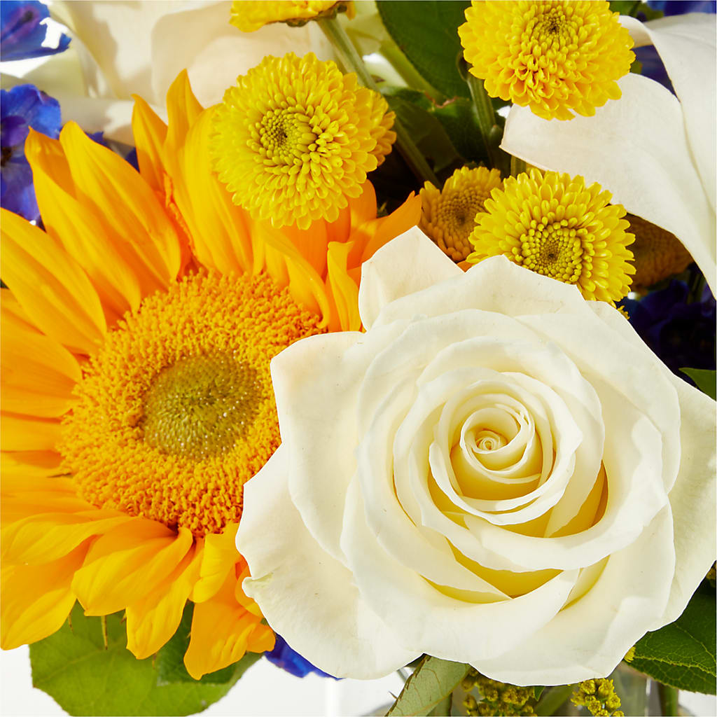Stargazing Bouquet –  Forget-me-not Florist, Fort Recovery OH