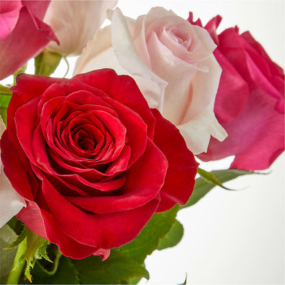 Charming Rose Bouquet –  Forget-me-not Florist, Fort Recovery OH