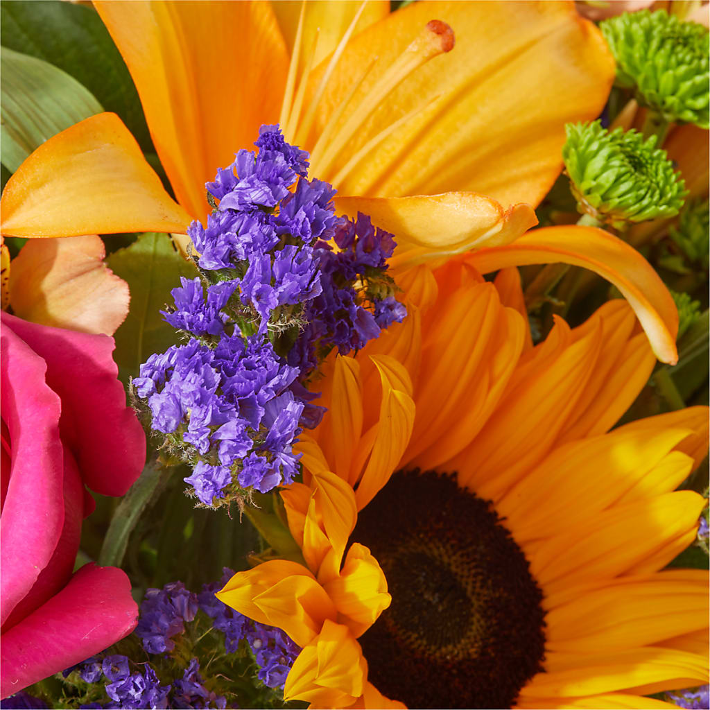 Joyful Bouquet –  Forget-me-not Florist, Fort Recovery OH