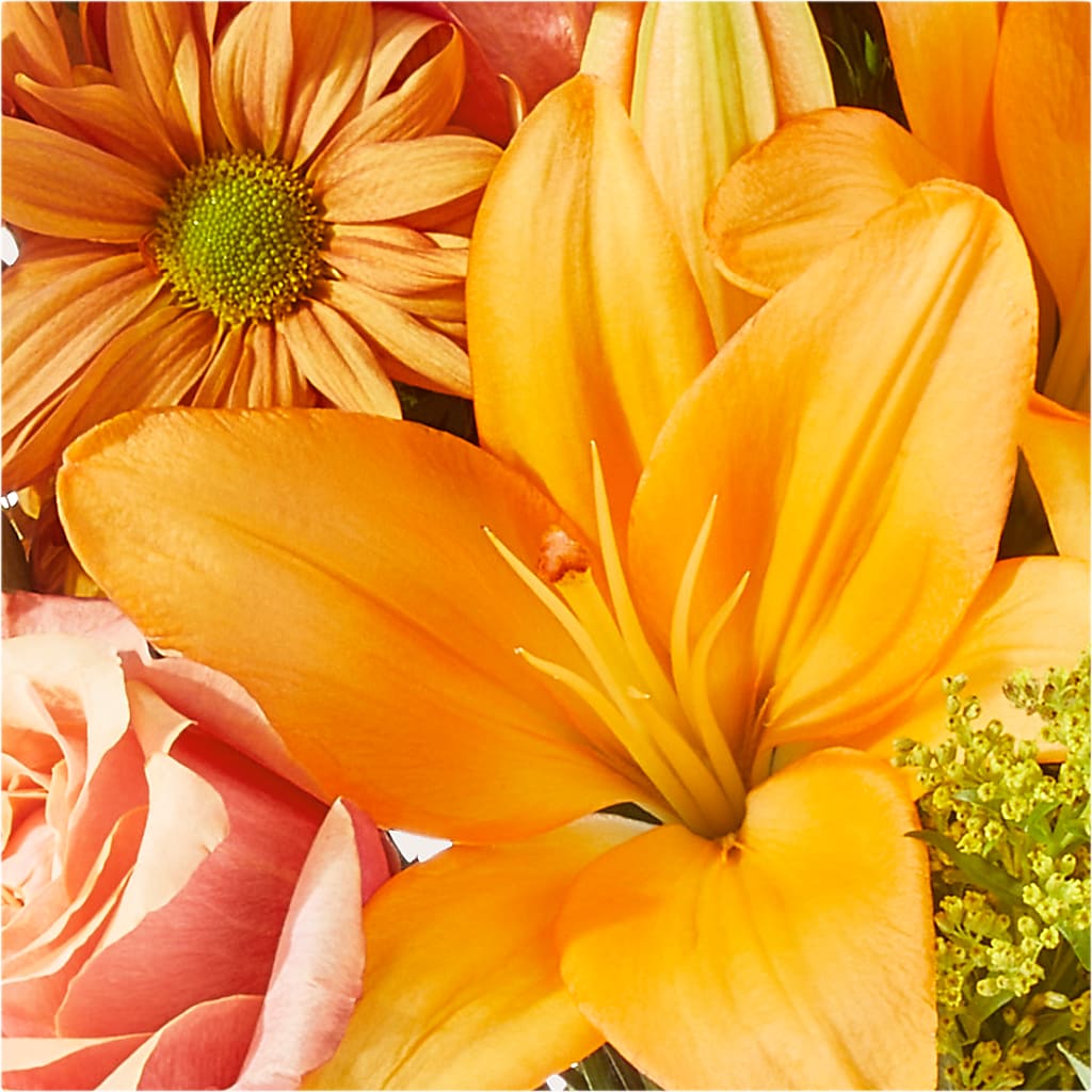 Harvest Hayride Bouquet –  Forget-me-not Florist, Fort Recovery OH