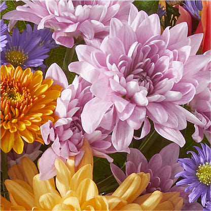 Countryside Bouquet –  Forget-me-not Florist, Fort Recovery OH