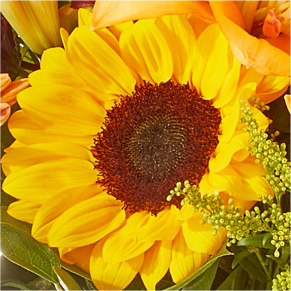 Seasons Change Bouquet –  Forget-me-not Florist, Fort Recovery OH