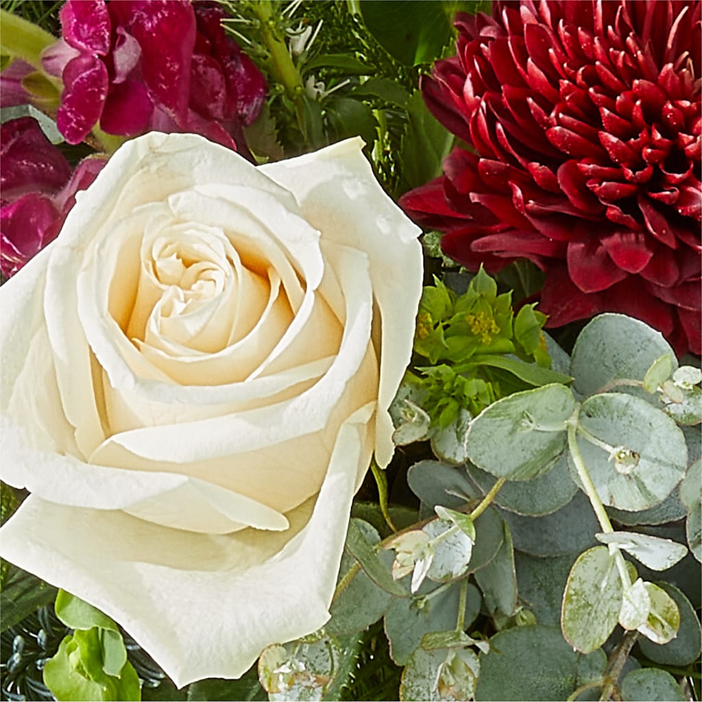 Cranberry Fizz Bouquet –  Forget-me-not Florist, Fort Recovery OH
