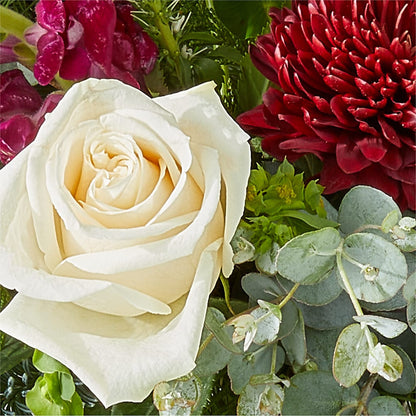 Cranberry Fizz Bouquet –  Forget-me-not Florist, Fort Recovery OH