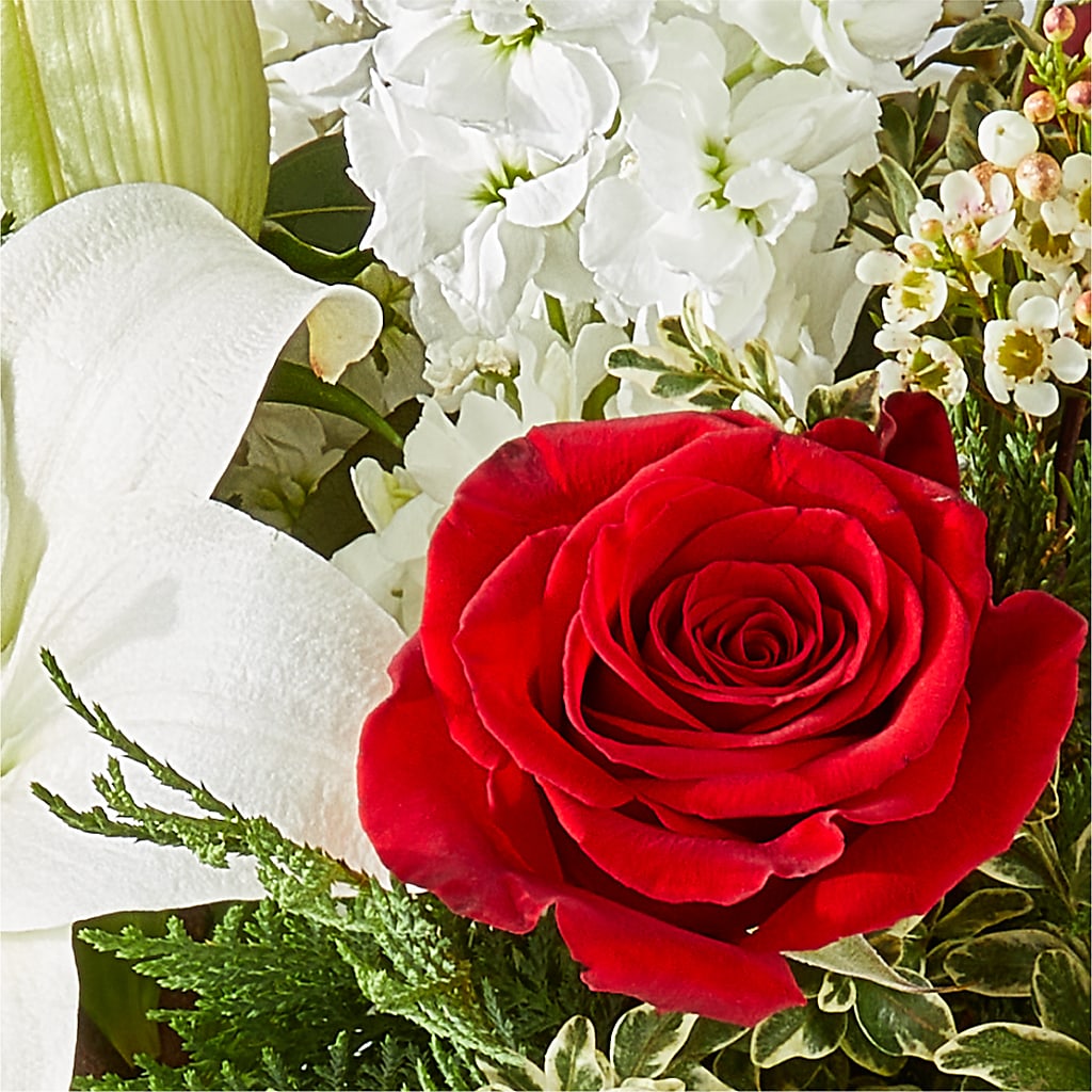 Twinkle Lights Bouquet –  Forget-me-not Florist, Fort Recovery OH