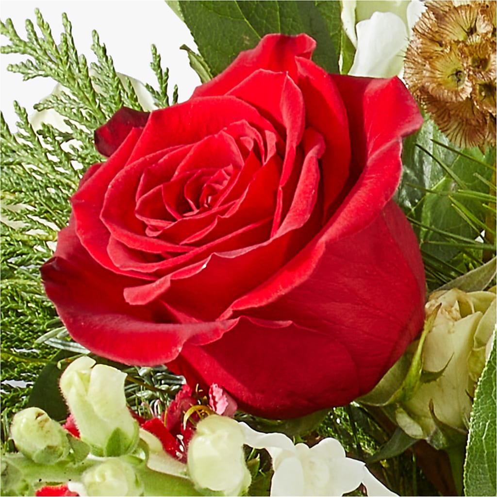 Deck the Halls Bouquet –  Forget-me-not Florist, Fort Recovery OH