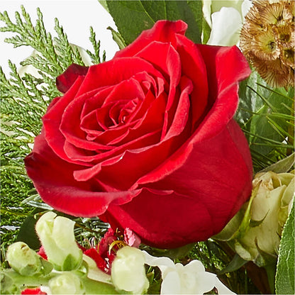 Deck the Halls Bouquet –  Forget-me-not Florist, Fort Recovery OH