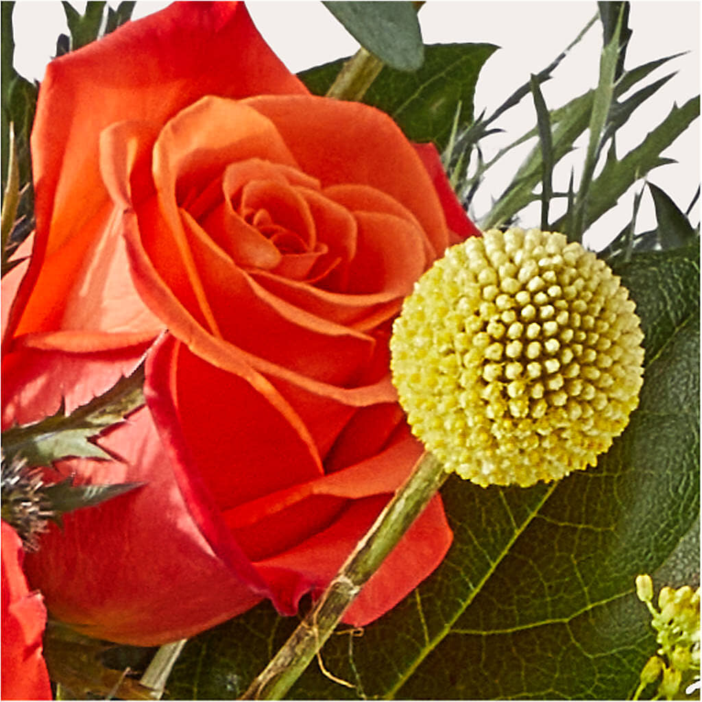 Disco Bouquet –  Forget-me-not Florist, Fort Recovery OH