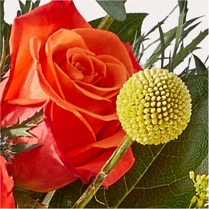 Disco Bouquet –  Forget-me-not Florist, Fort Recovery OH