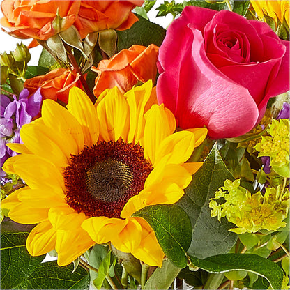 Vibrant Greetings Bouquet –  Forget-me-not Florist, Fort Recovery OH