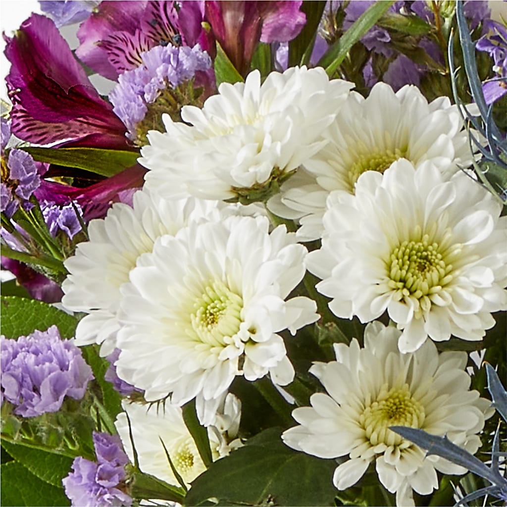 Shooting Star Bouquet –  Forget-me-not Florist, Fort Recovery OH