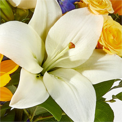 Wonderfully Sunny Bouquet –  Forget-me-not Florist, Fort Recovery OH