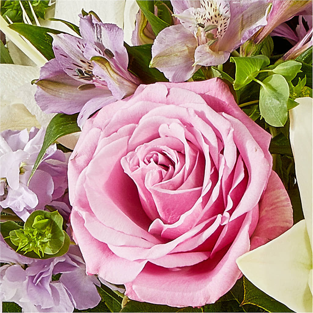 Daydreamer Bouquet –  Forget-me-not Florist, Fort Recovery OH