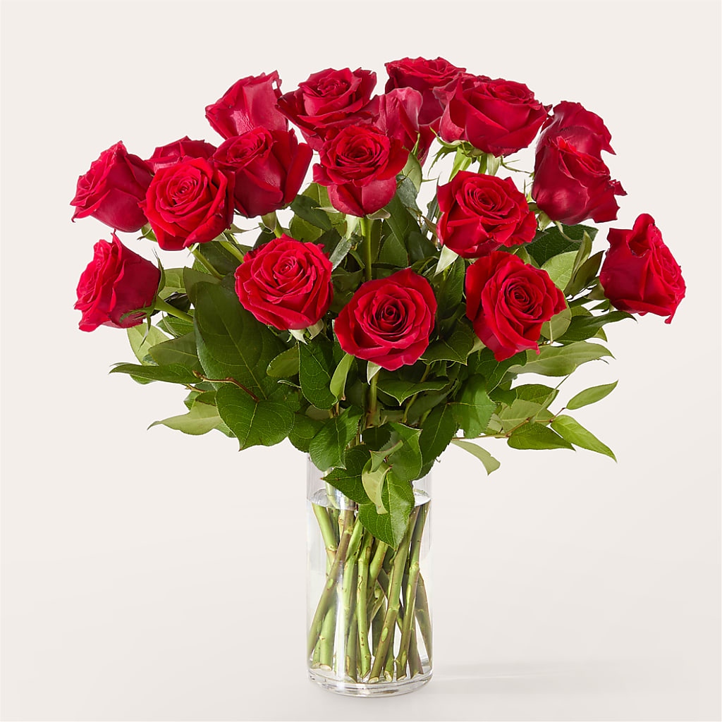 The One Red Rose Bouquet –  Forget-me-not Florist, Fort Recovery OH