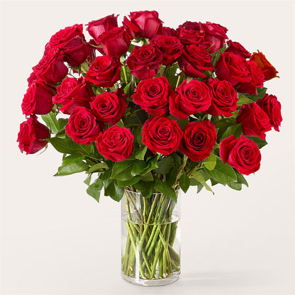 The One Red Rose Bouquet –  Forget-me-not Florist, Fort Recovery OH