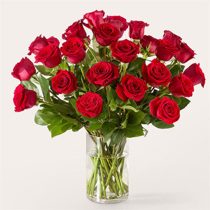 The One Red Rose Bouquet –  Forget-me-not Florist, Fort Recovery OH