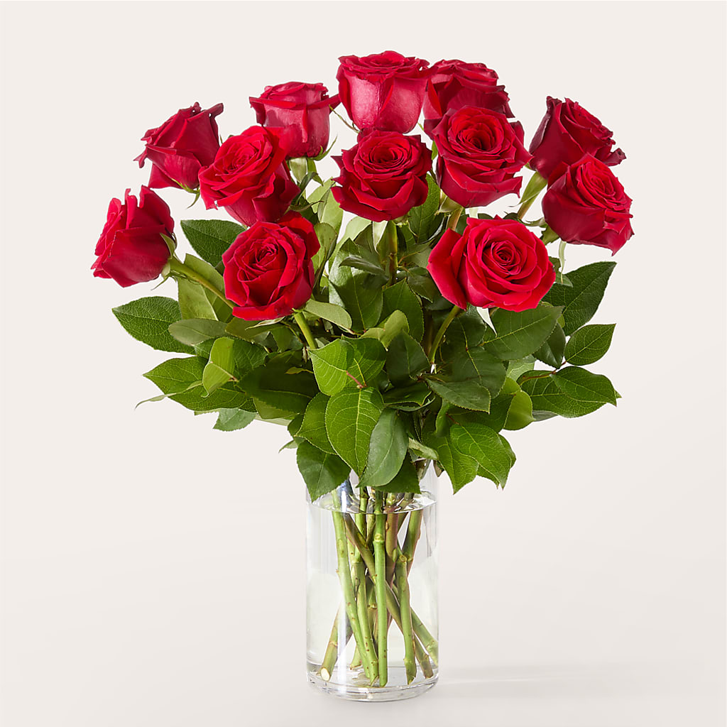 The One Red Rose Bouquet –  Forget-me-not Florist, Fort Recovery OH