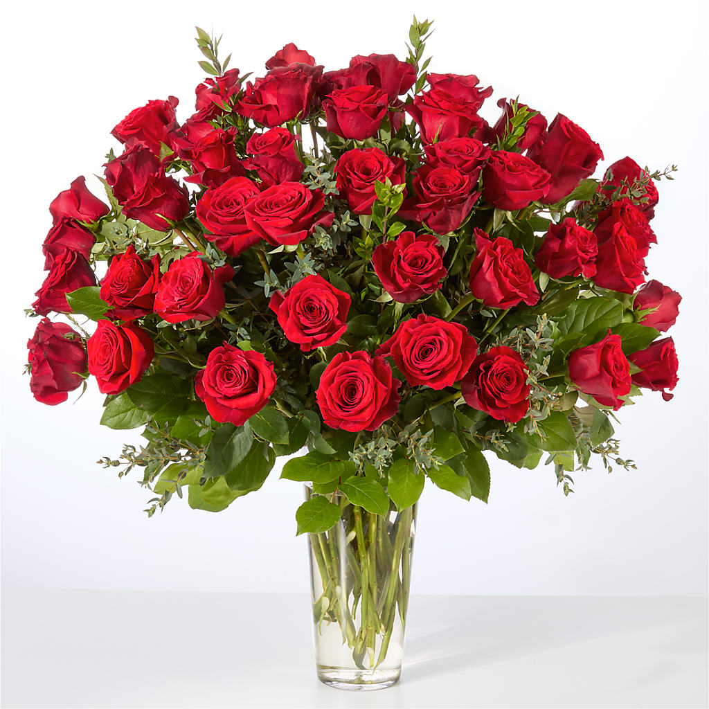 Forever Yours Fifty Stem Red Rose Bouquet –  Forget-me-not Florist, Fort Recovery OH