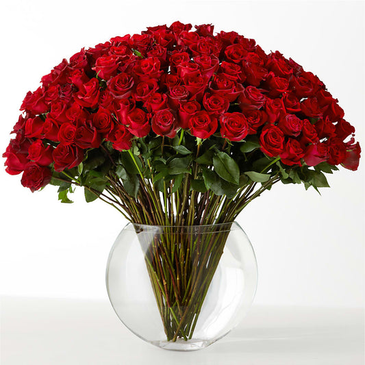 The Idealist –  Forget-me-not Florist, Fort Recovery OH
