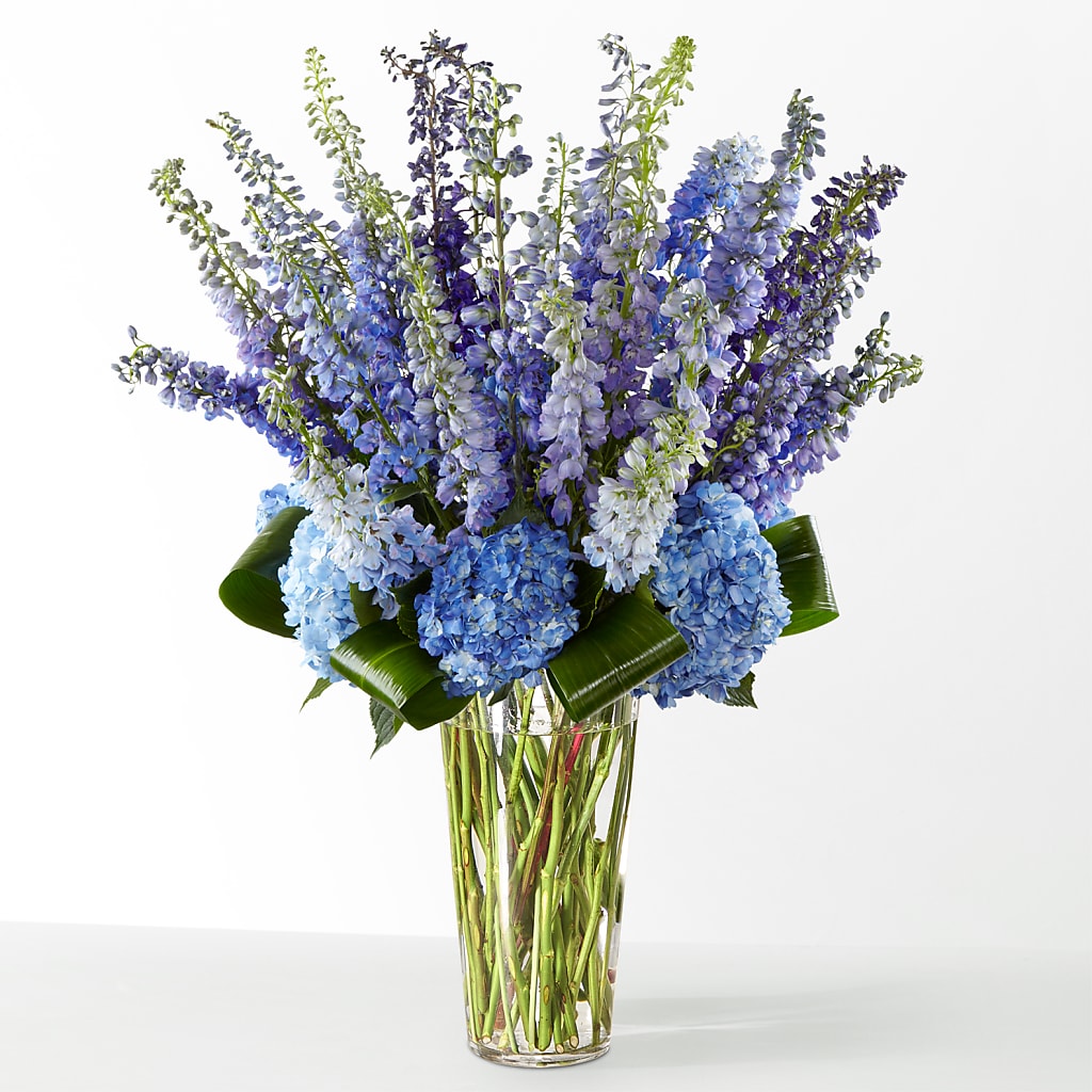 The Editorial –  Forget-me-not Florist, Fort Recovery OH
