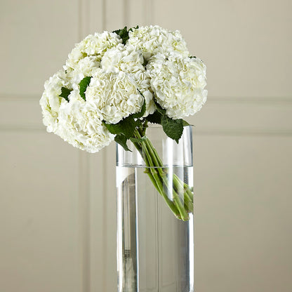 White Hydrangea Hand-Tied Bouquet –  Forget-me-not Florist, Fort Recovery OH