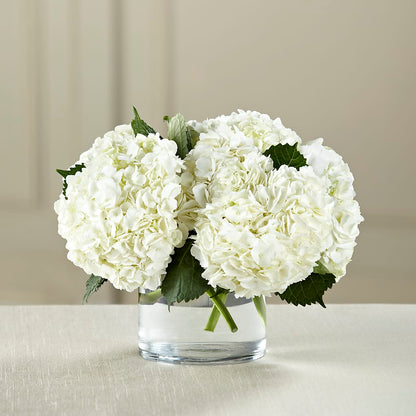 White Hydrangea Bouquet –  Forget-me-not Florist, Fort Recovery OH
