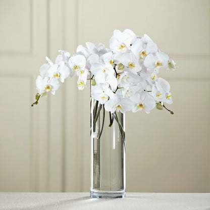 White Phalaenopsis Bouquet –  Forget-me-not Florist, Fort Recovery OH